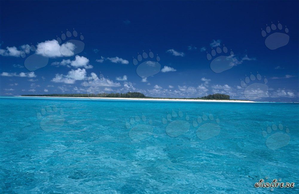 Paesaggio lagunare da sogno a Midway Atoll, Hawaii, Stati Uniti