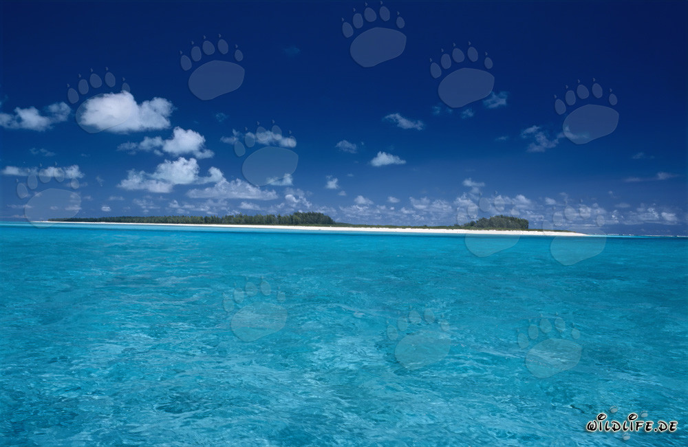 Paisaje de laguna de ensueño en Midway Atoll, Hawái, Estados Unidos