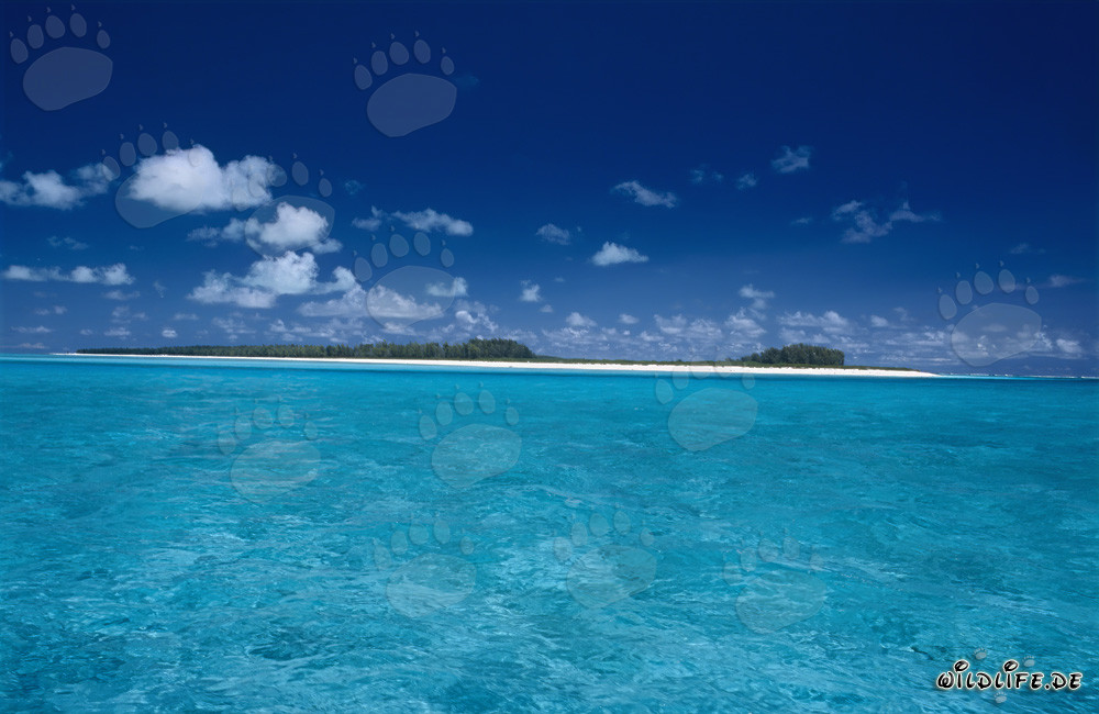 Paysage de lagune de rêve à Midway Atoll, Hawaï, États-Unis