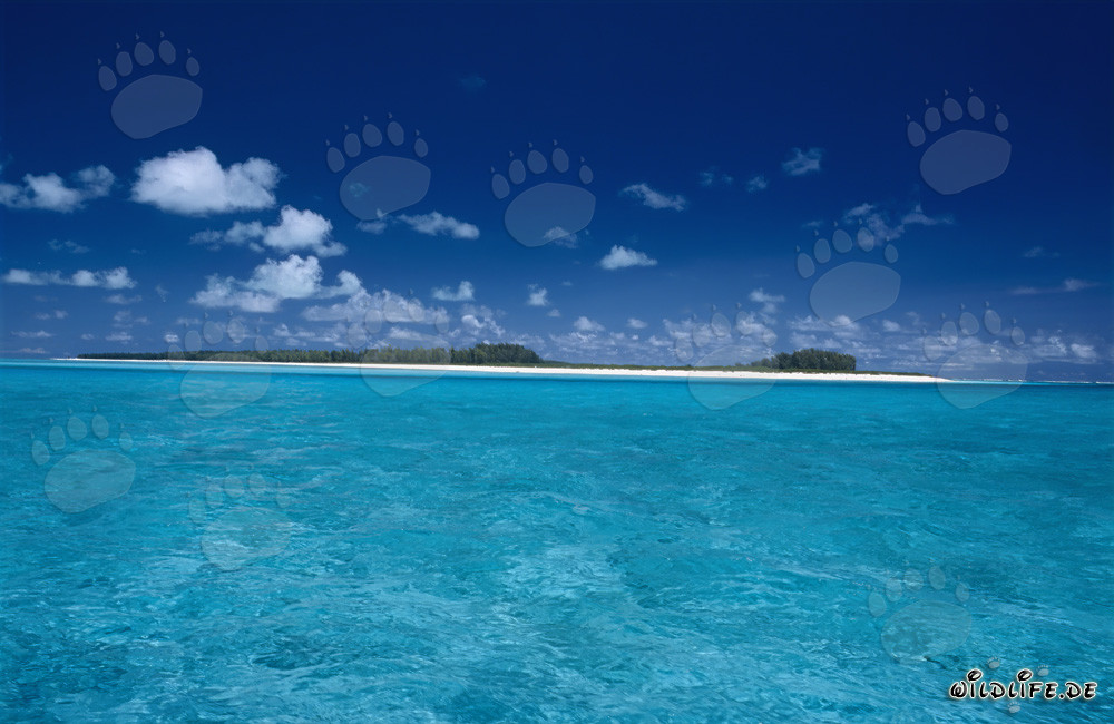 Traumhafte Lagunenlandschaft auf Midway Atoll, Hawaii, USA