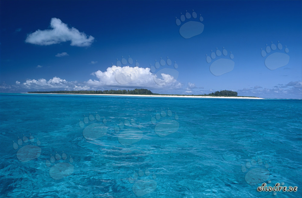 Isola idilliaca nel Pacifico con laguna turchese e spiaggia di sabbia bianca