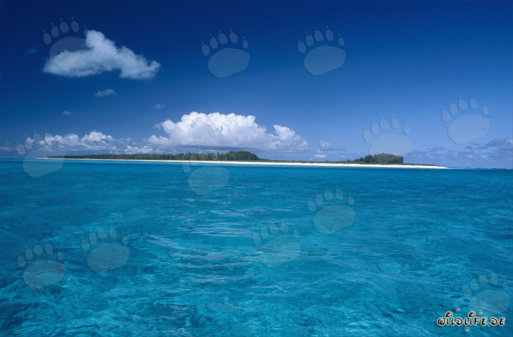 Idyllic Pacific Island with Turquoise Lagoon and White Sandy Beach