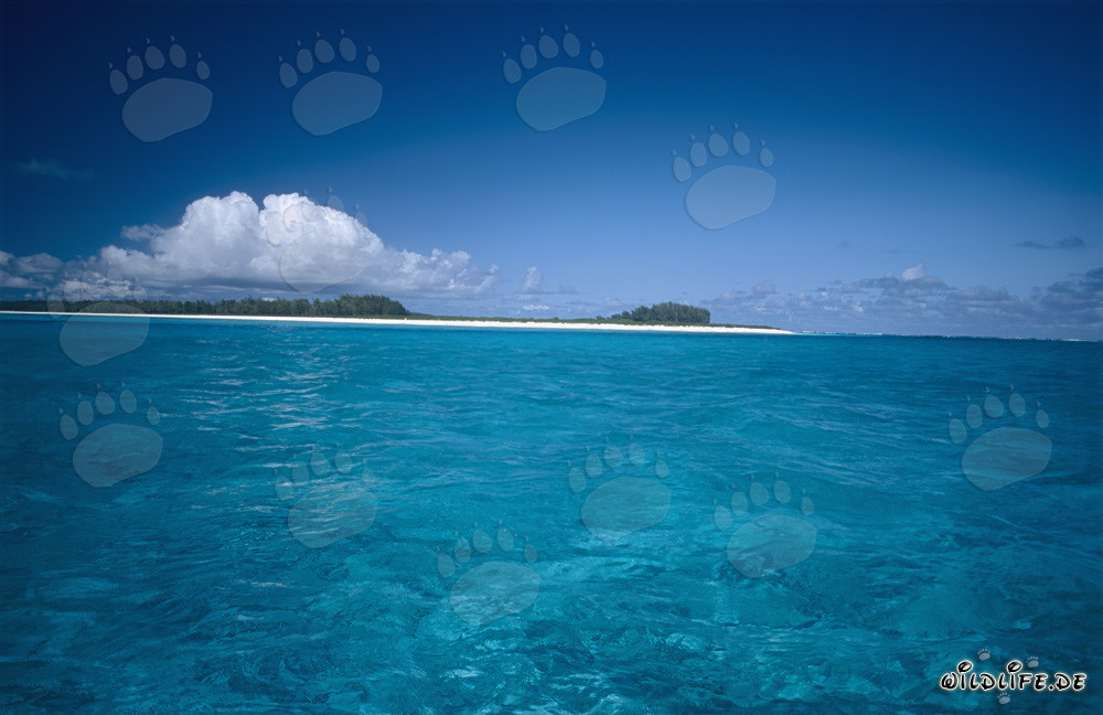 Lagon turquoise dans le Pacifique devant l'atoll de Midway