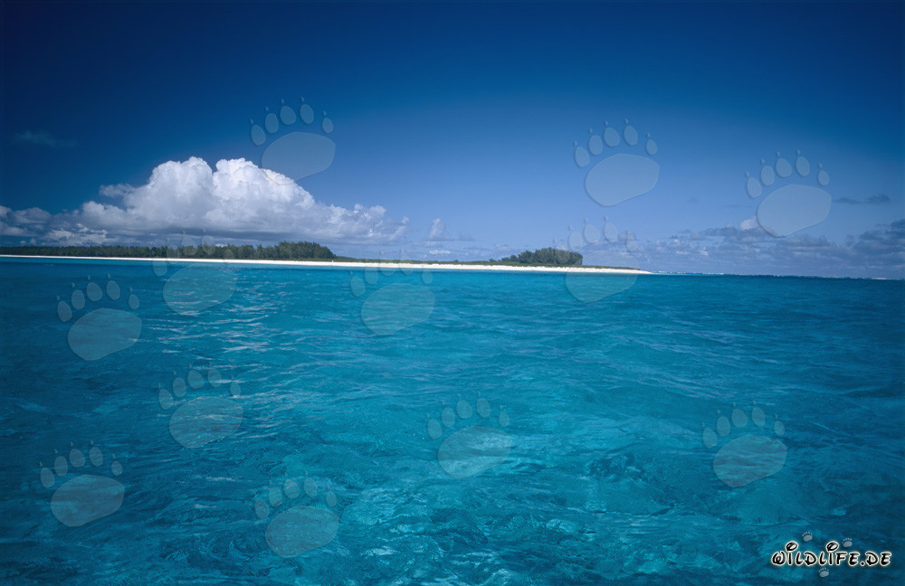 Turquoise Lagoon in the Pacific off Midway Atoll