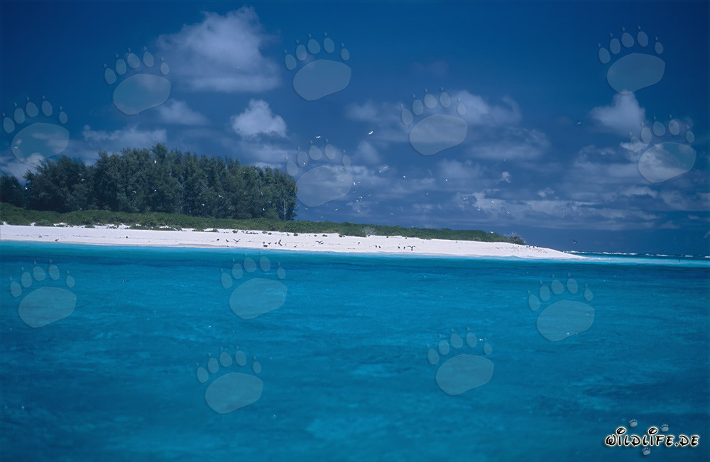 Turquoise Lagoon on Midway Island