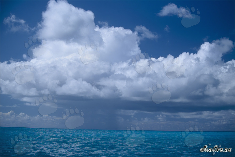 Fascinante atmósfera de tormenta sobre el Pacífico