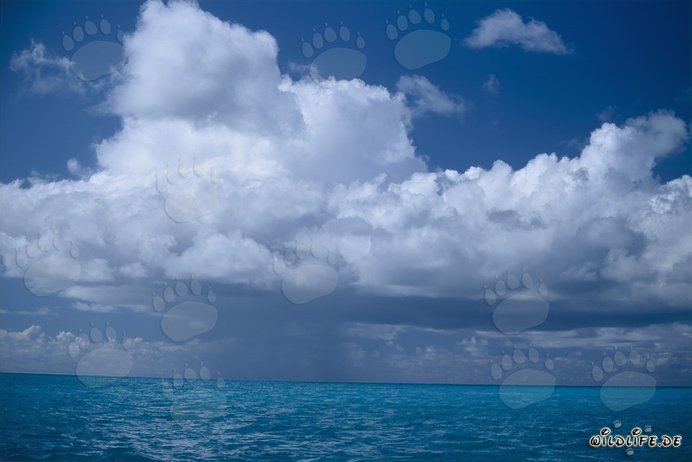 Atmosphère fascinante d'orage sur le Pacifique
