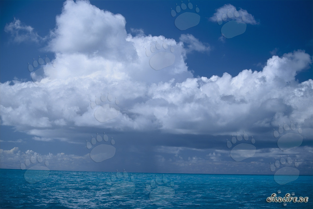 Fascinating thundery atmosphere above the Pacific