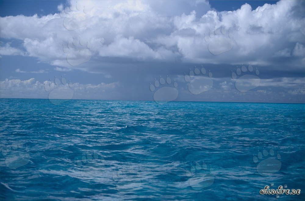 Dramatische Gewitterstimmung über dem tiefblauen Meer