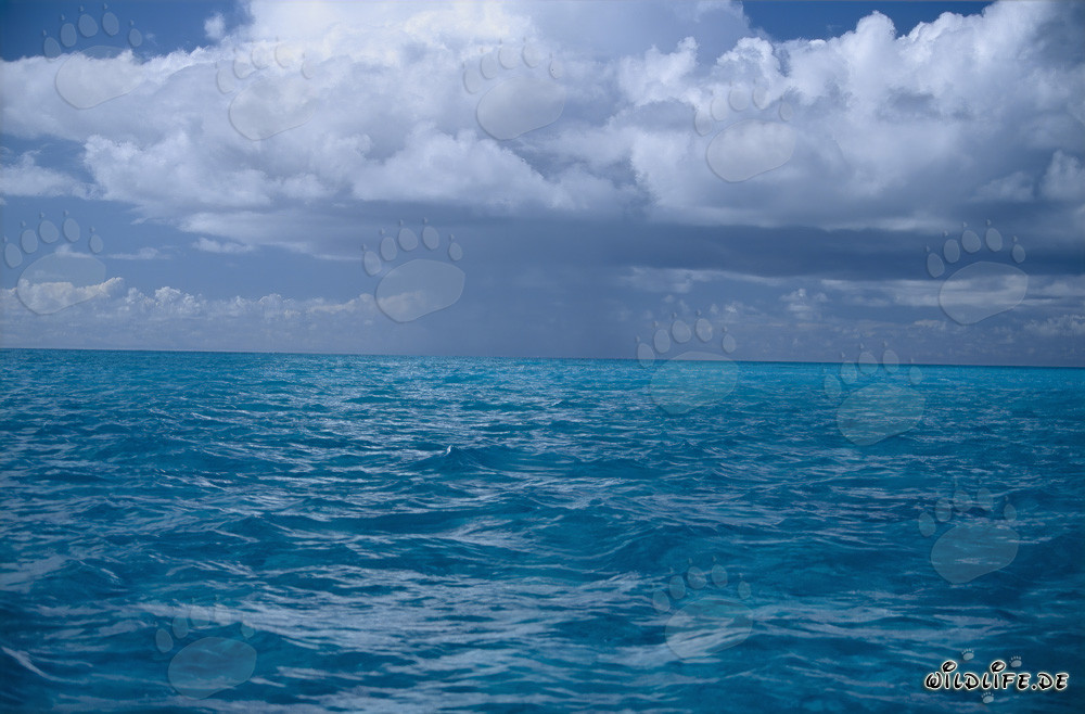 Ambiance dramatique d'orage au-dessus de la mer d'un bleu profond