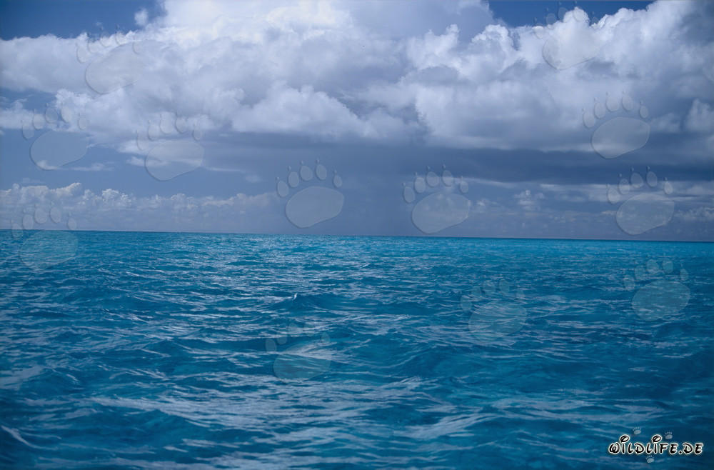 Dramatic stormy atmosphere over the deep blue sea