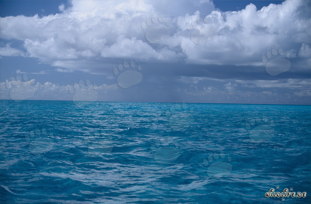Atmosfera drammatica di tempesta sopra il mare blu profondo