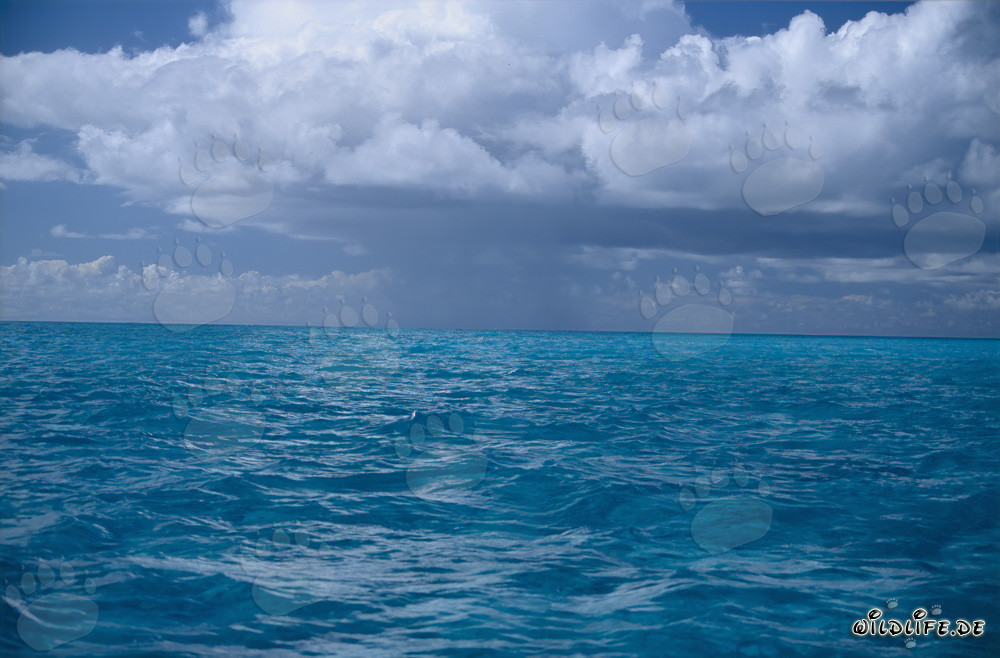Atmósfera dramática de tormenta sobre el mar azul profundo