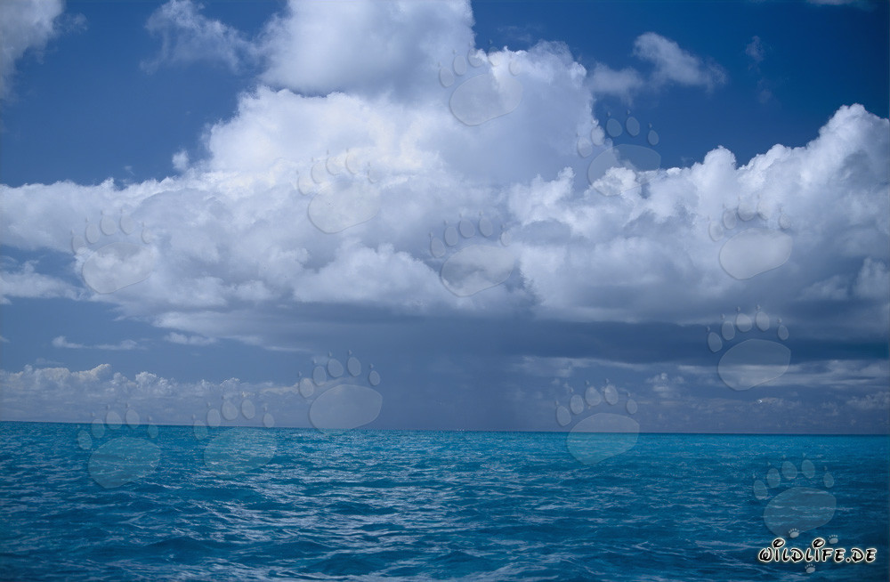 Dramatische Gewitterwolken über der Lagune von Midway