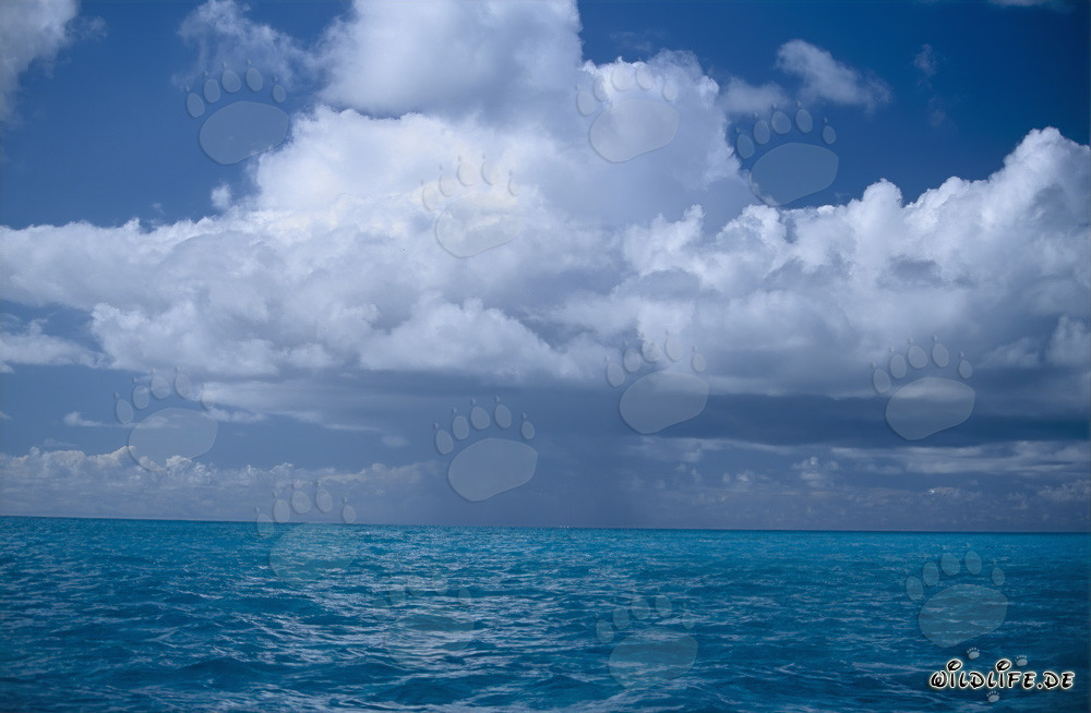 Dramatic thunderstorm clouds over the lagoon of Midway