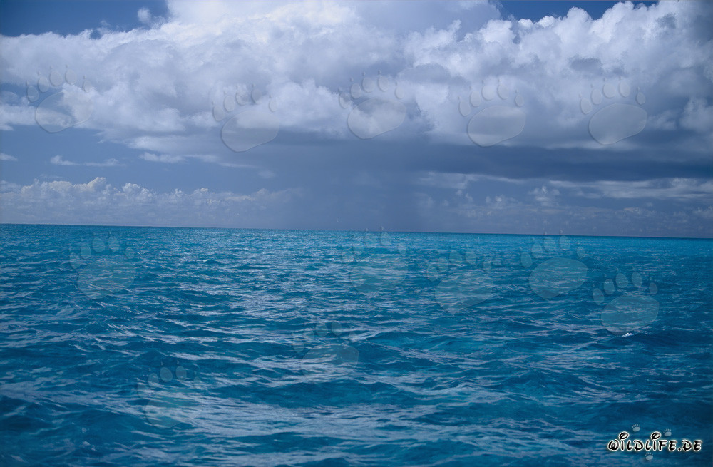 Atmosfera di tempesta drammatica sulla laguna di Midway