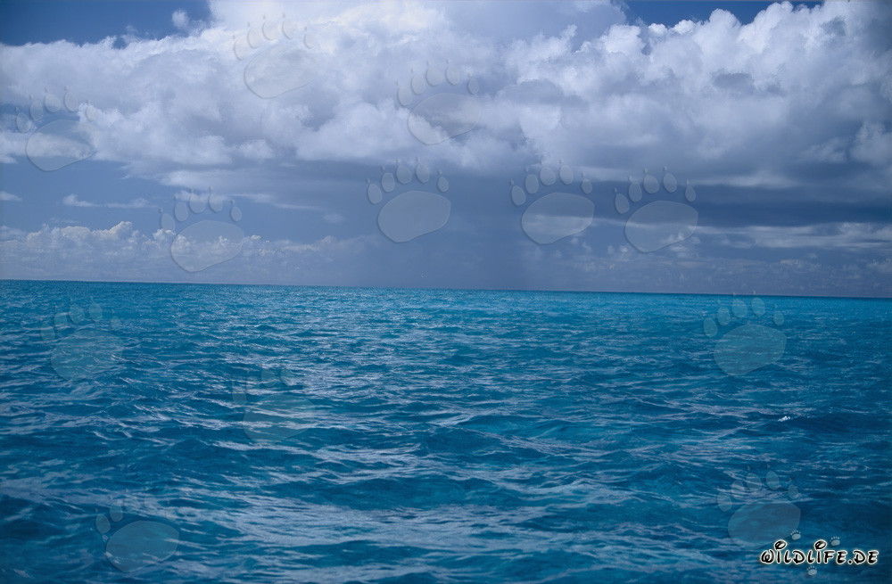Atmosphère de tempête dramatique au-dessus de la lagune de Midway