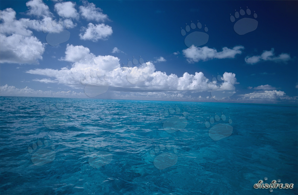Nuvole temporalesche sopra il Pacifico