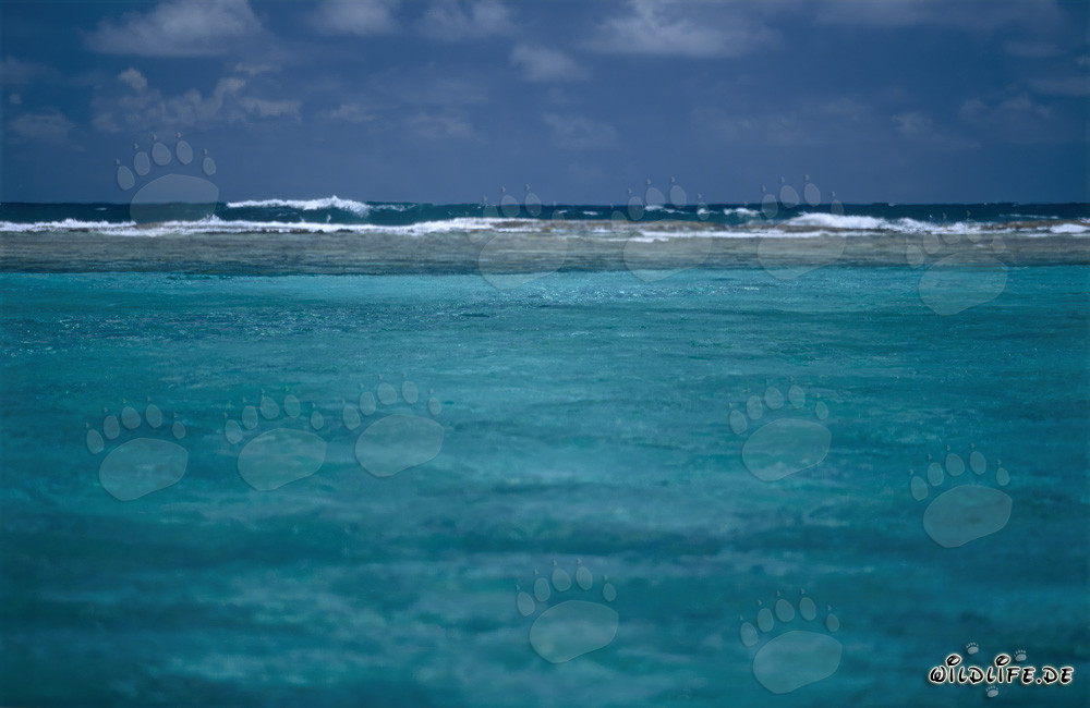 Lagon turquoise avec vue sur la mer ouverte à Midway Atoll