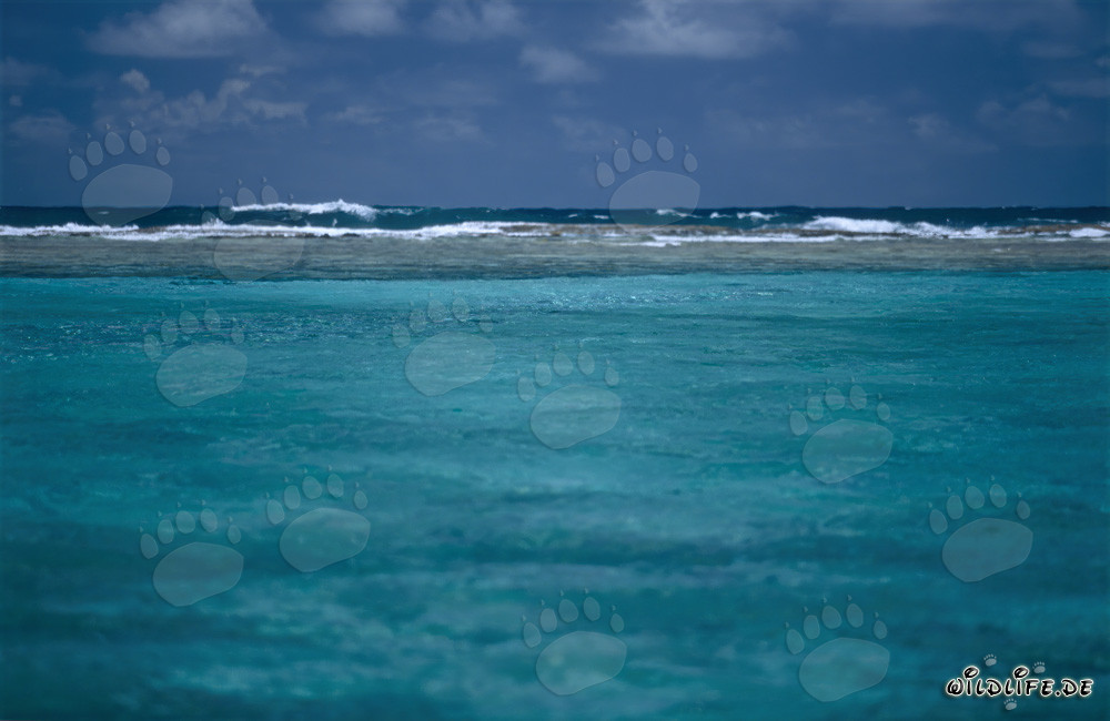 Laguna turchese con vista sul mare aperto a Midway Atoll