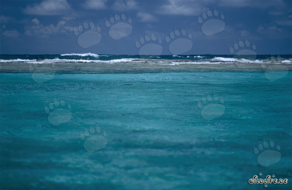 Turquoise lagoon overlooking the open sea at Midway Atoll