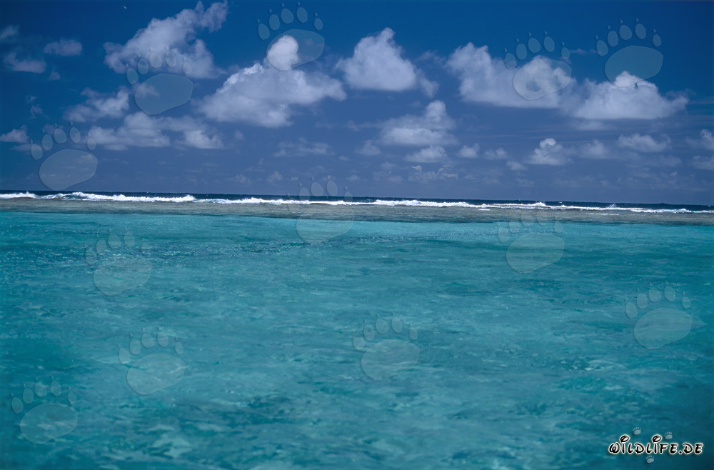 Lagoon border to open Pacific