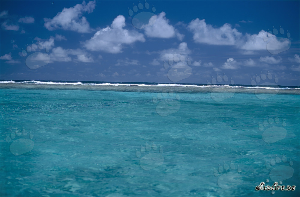 Limite lagunare verso l'aperto Pacifico