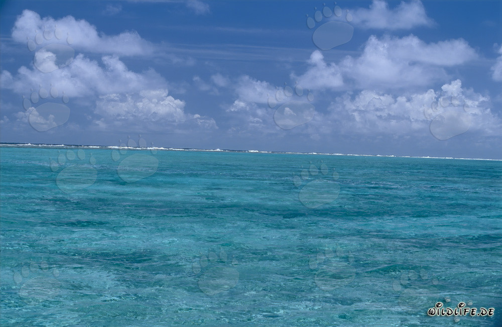 Breakers mark the boundary of Lagoon to the open sea
