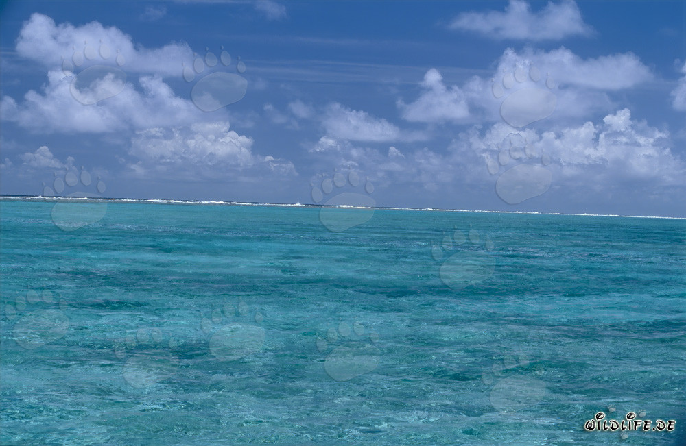 Las olas marcan la frontera de la laguna con el mar abierto