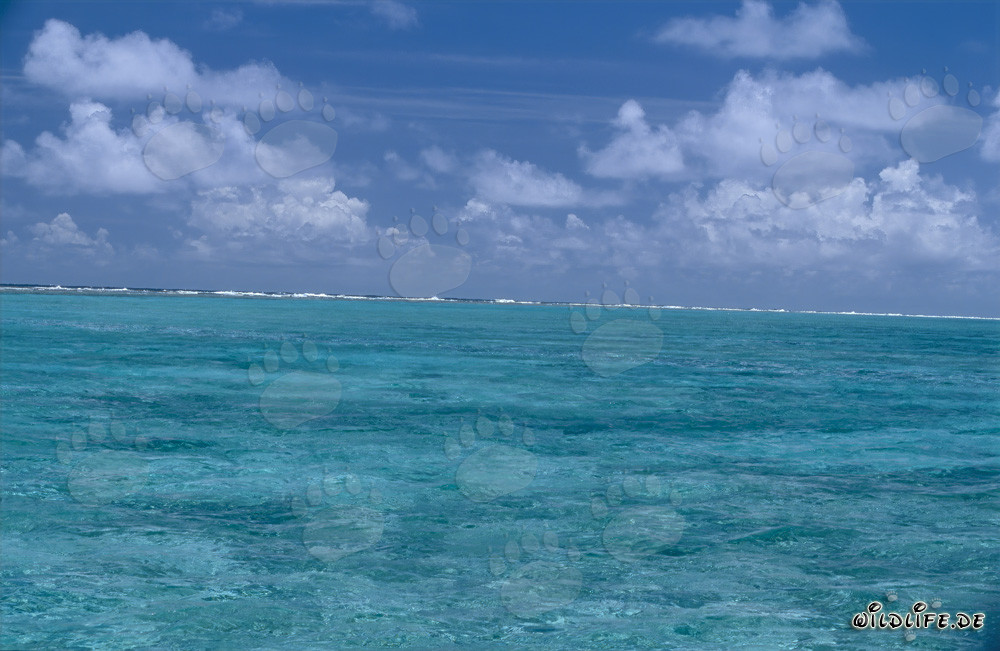Le onde segnano il confine della laguna con il mare aperto
