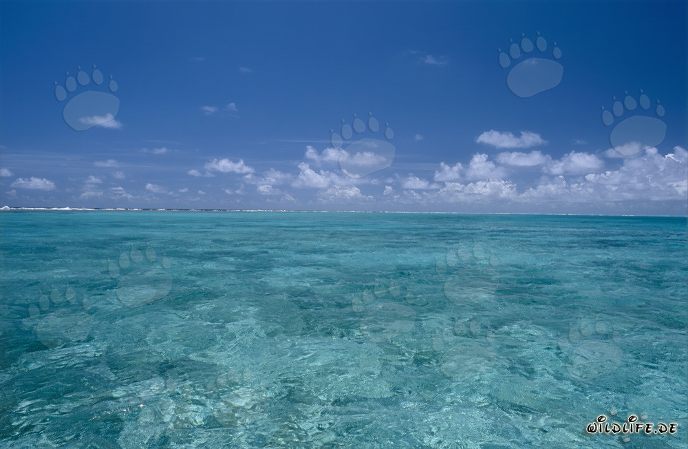 Lagon idyllique sur l'atoll de Midway avec un ciel impressionnant