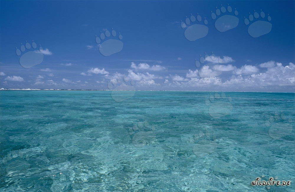 Idyllic lagoon on Midway Atoll with impressive cloudy sky