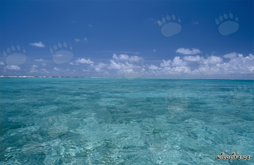 Idyllische Lagune auf Midway-Atoll mit beeindruckendem Wolkenhimmel