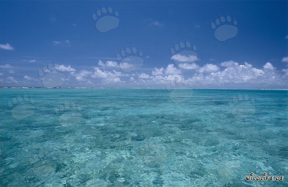 Peinture de la nature : Lagune de Midway avec un ciel dramatique