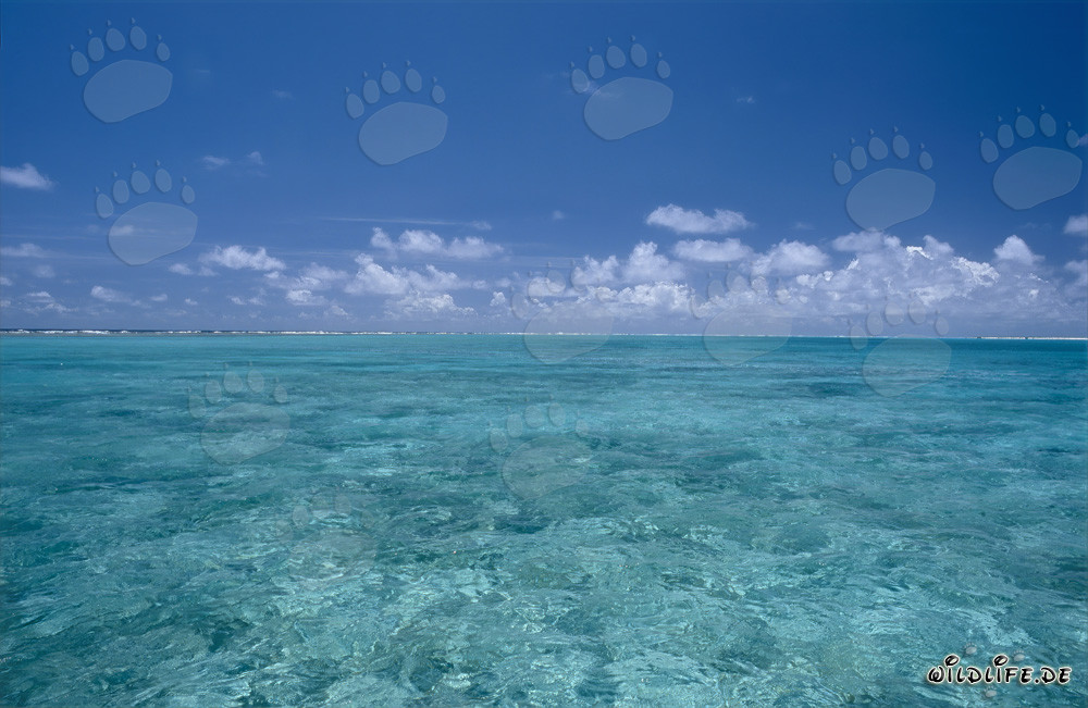 Malerei der Natur: Midway Lagune mit dramatischem Wolkenhimmel