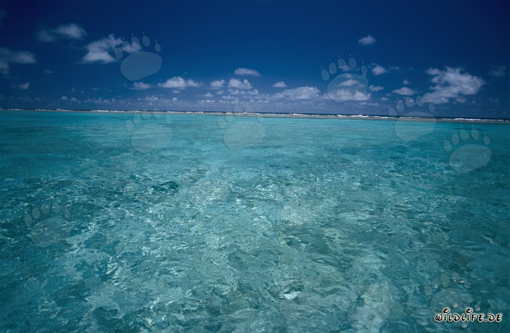 Lagoon prior to the transition to the open Pacific Ocean