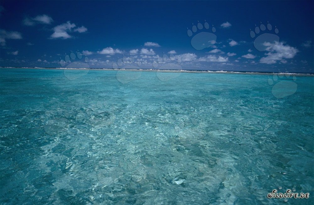Laguna prima della transizione verso il Pacifico aperto