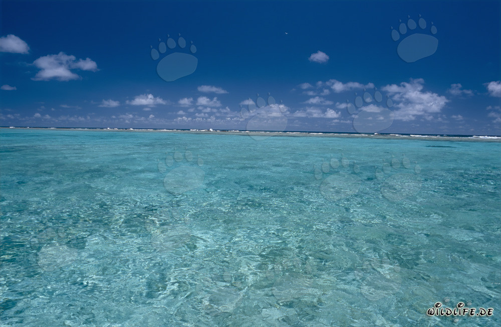 Breaker mark the border of the lagoon to the Pacific