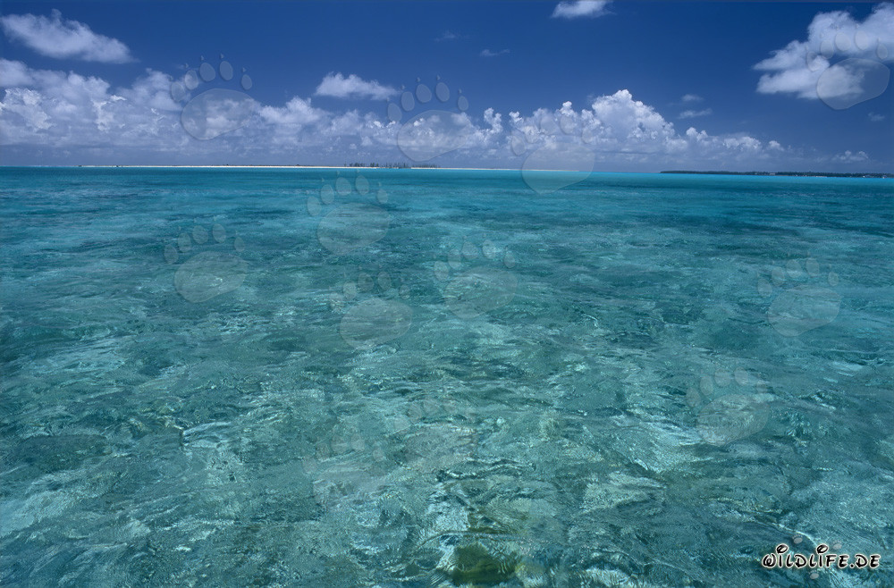 Lagon idyllique de la mer du Sud avec de l'eau turquoise et une plage de sable blanc