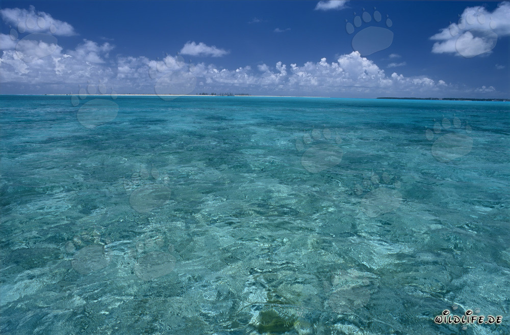 Idyllic South Sea Lagoon with Turquoise Water and White Sandy Beach