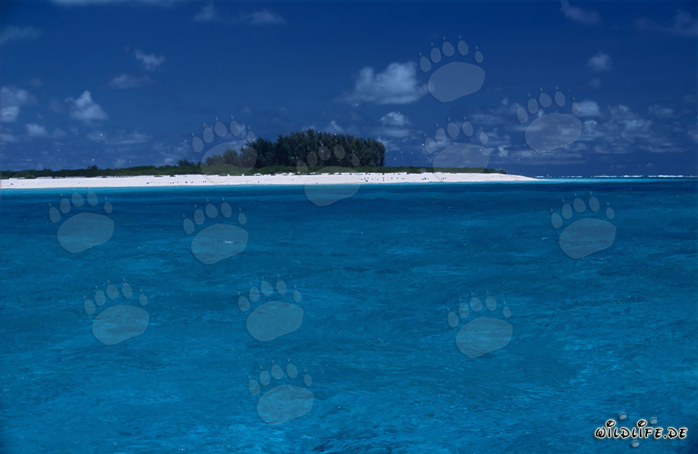 Dreamy South Sea Island with Turquoise Lagoon and White Beach