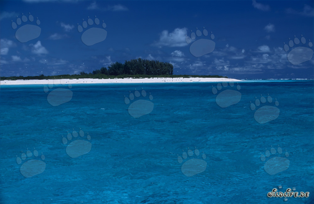 Traumhafte Südseeinsel mit türkisblauer Lagune und weißem Strand