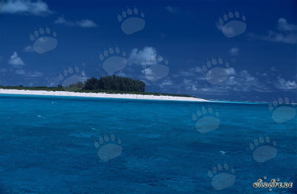 Isla de ensueño con playa de arena blanca en el Pacífico