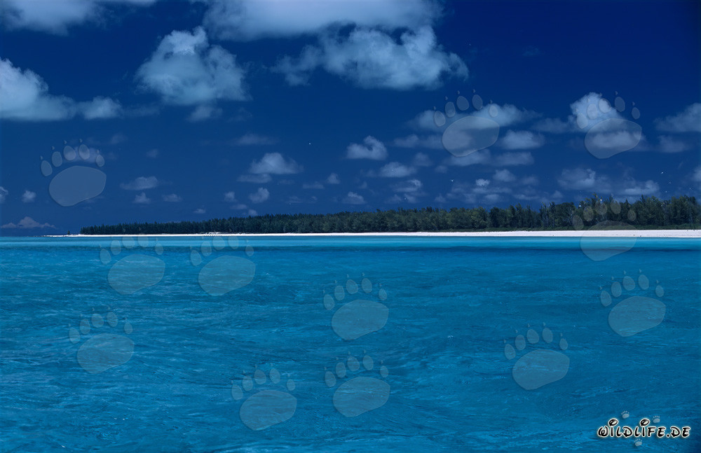 Traumhafte blaue Lagune mit Midway-Insel im Nordpazifik