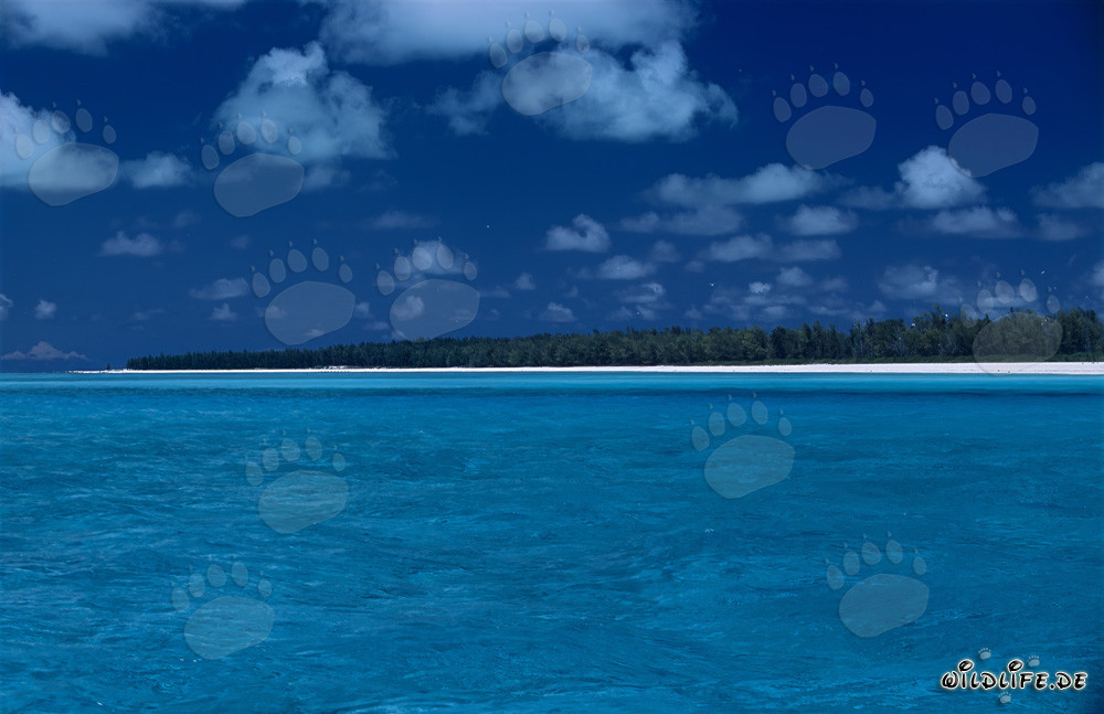 Dreamy blue lagoon with Midway Island in the North Pacific