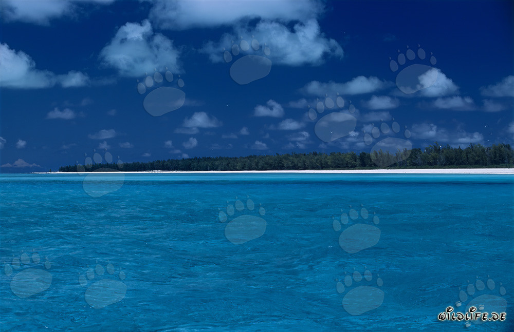 Lagon bleu de rêve avec l'île de Midway dans le Nord-Pacifique