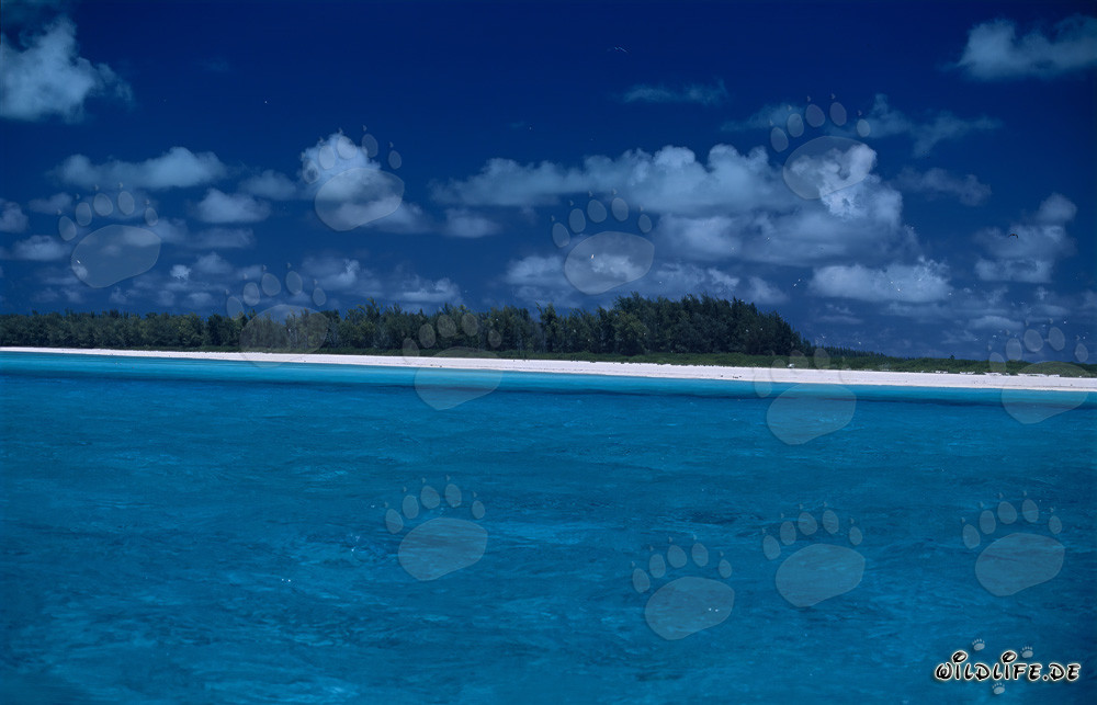 Laguna turchese con spiaggia paradisiaca nel Sud del Pacifico