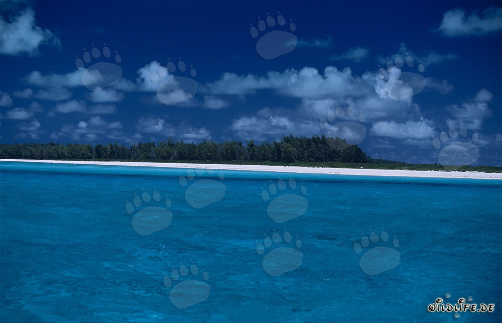 Türkisblaue Lagune mit paradiesischem Südseestrand