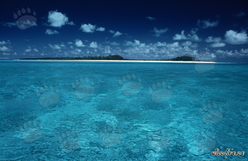 Südsee Lagune auf Midway Atoll, Hawaiian Islands, USA