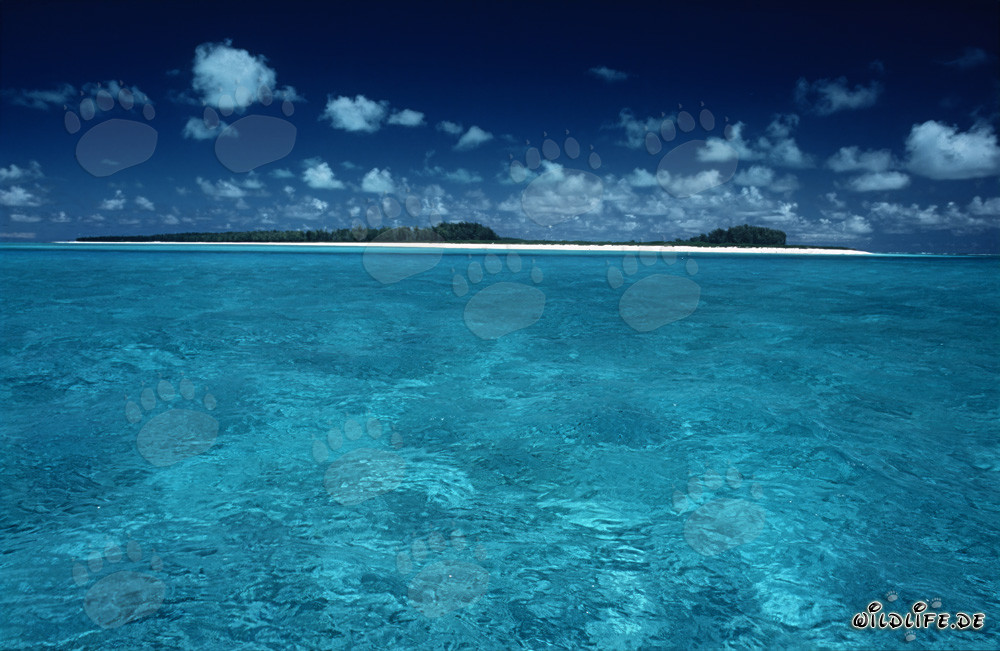 Laguna del Mar del Sur en Midway Atoll, islas hawaianas, EE. UU.